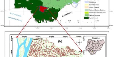 Mapa de nigèria mostrant cinturons de vegetació